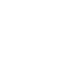 Triad Logo White